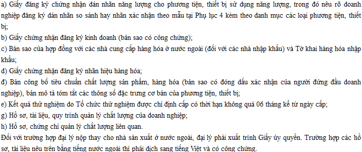dan nhan nang luong cho motor dien